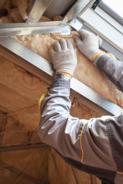 Best Insulation Repair Services  in Shawneetown, IL