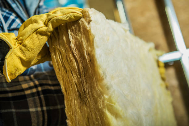 Best Affordable Insulation Services  in Shawneetown, IL