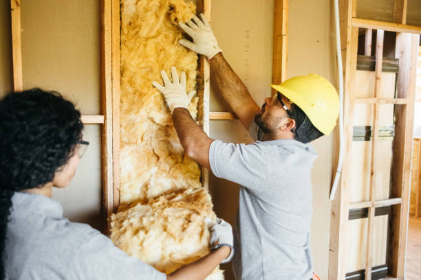 Best Garage Insulation Installation  in Shawneetown, IL
