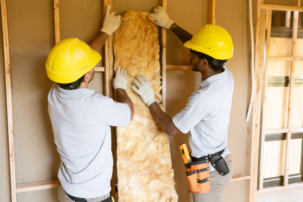 Best Residential Insulation Services  in Shawneetown, IL