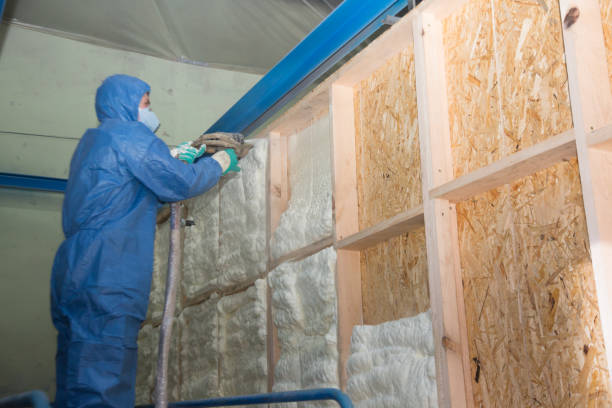 Best Attic Insulation Near Me  in Shawneetown, IL