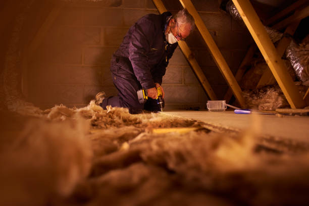 Best Spray Foam Insulation  in Shawneetown, IL